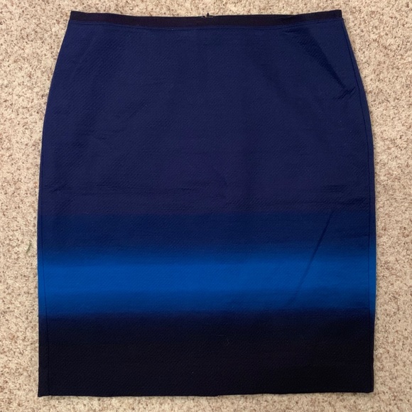 LOFT Dresses & Skirts - LOFT Ombré Skirt (12)